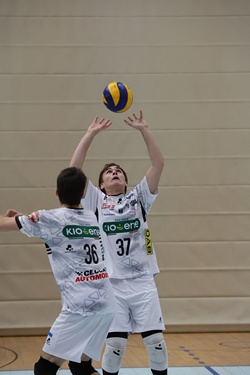 Clicca per ingrandire