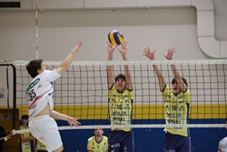 Clicca per ingrandire