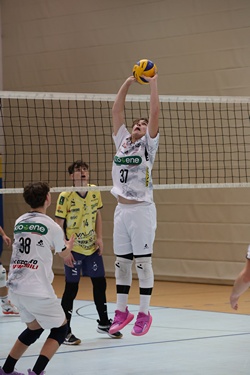 Clicca per ingrandire