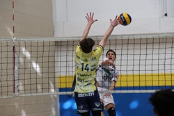 Clicca per ingrandire