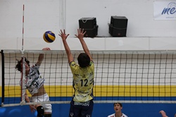 Clicca per ingrandire