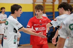 Clicca per ingrandire