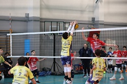 Clicca per ingrandire