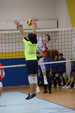 Clicca per ingrandire