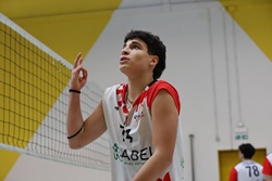 Clicca per ingrandire