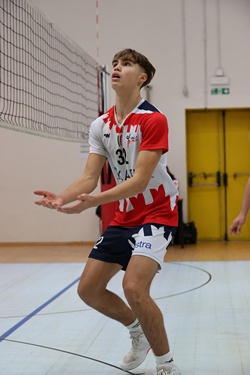 Clicca per ingrandire