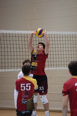 Clicca per ingrandire