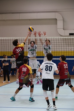 Clicca per ingrandire