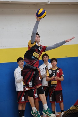 Clicca per ingrandire