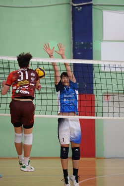 Clicca per ingrandire