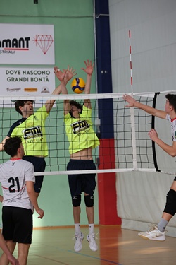 Clicca per ingrandire