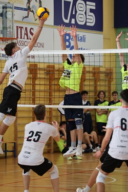 Clicca per ingrandire