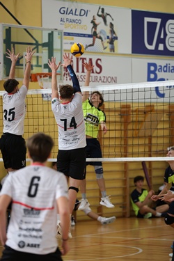 Clicca per ingrandire