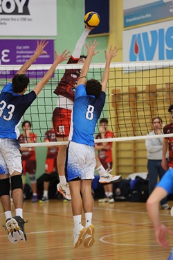 Clicca per ingrandire