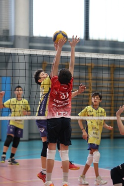 Clicca per ingrandire