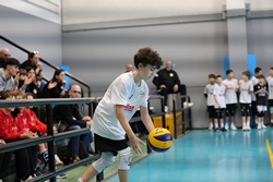 Clicca per ingrandire