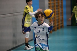 Clicca per ingrandire