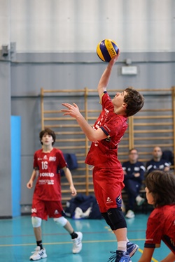 Clicca per ingrandire