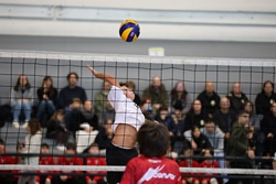 Clicca per ingrandire