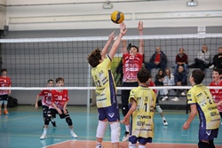 Clicca per ingrandire