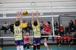 Clicca per ingrandire