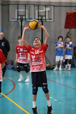 Clicca per ingrandire