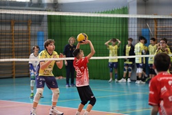 Clicca per ingrandire