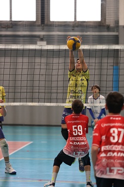 Clicca per ingrandire