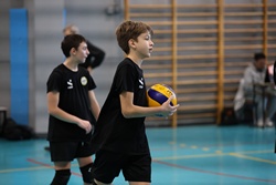 Clicca per ingrandire