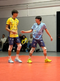 Clicca per ingrandire