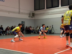 Clicca per ingrandire