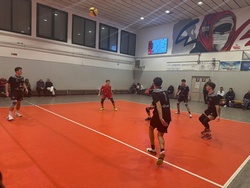 Clicca per ingrandire