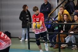 Clicca per ingrandire