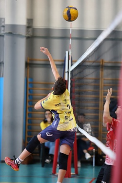 Clicca per ingrandire