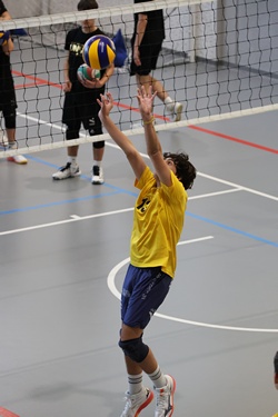 Clicca per ingrandire