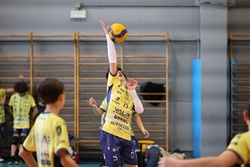 Clicca per ingrandire