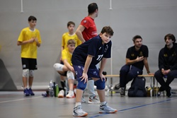 Clicca per ingrandire