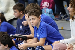 Clicca per ingrandire