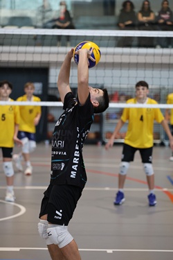 Clicca per ingrandire