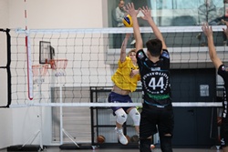 Clicca per ingrandire