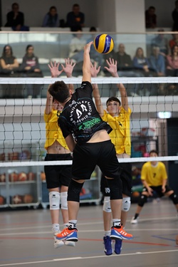 Clicca per ingrandire