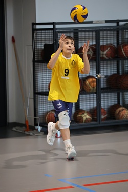 Clicca per ingrandire