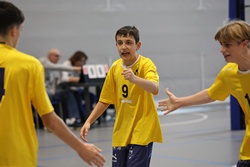 Clicca per ingrandire