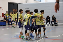 Clicca per ingrandire