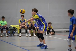 Clicca per ingrandire