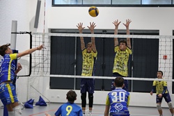 Clicca per ingrandire