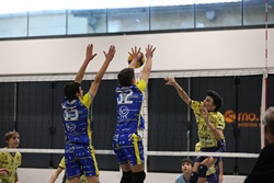 Clicca per ingrandire