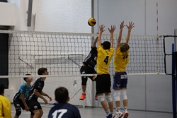 Clicca per ingrandire