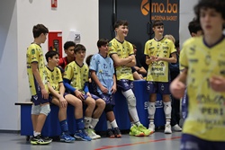 Clicca per ingrandire