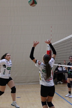 Clicca per ingrandire